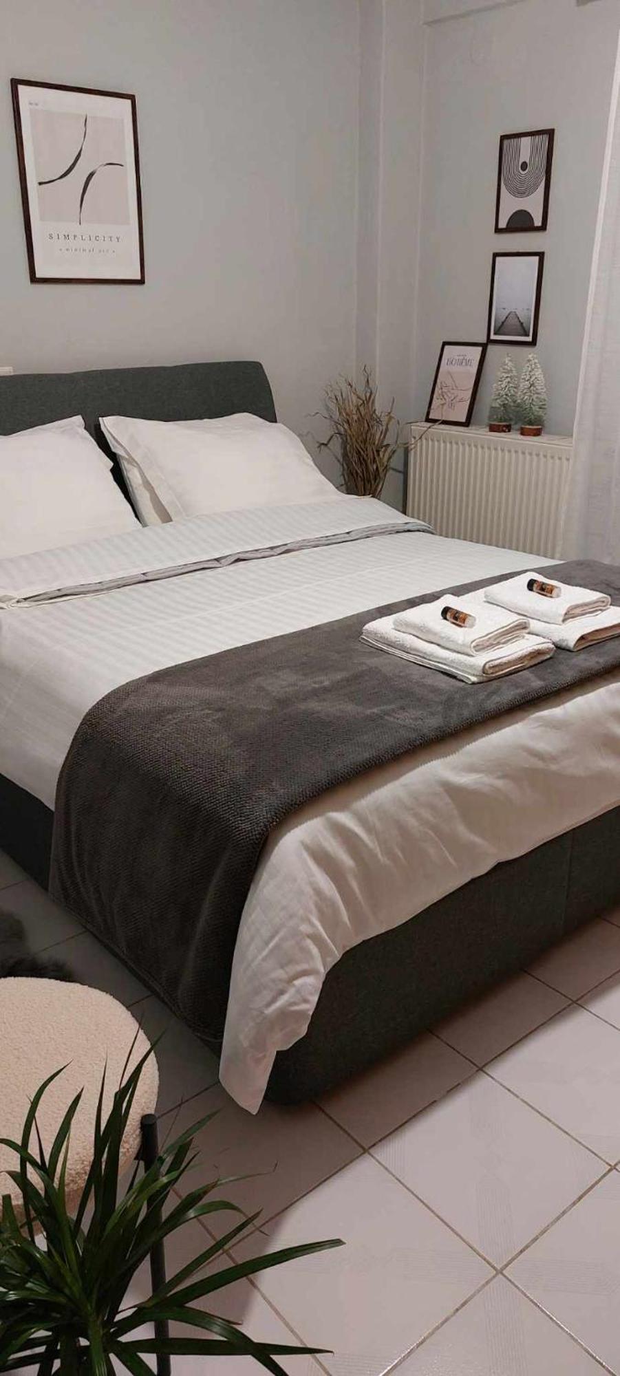 Hermes Modern Apartment 알렉산드로폴리스 외부 사진