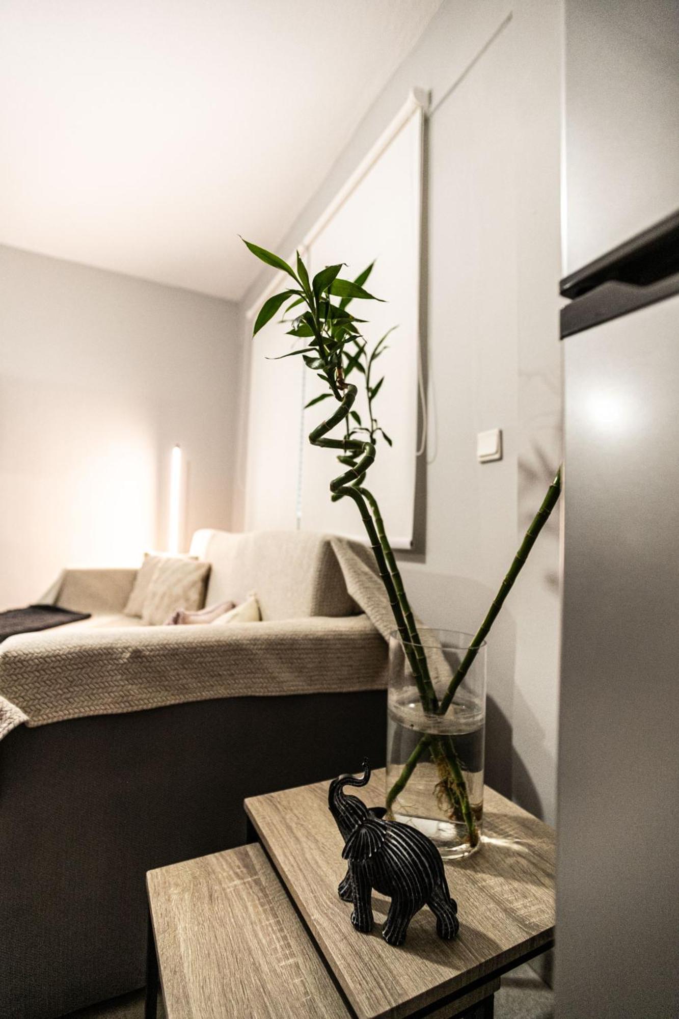 Hermes Modern Apartment 알렉산드로폴리스 외부 사진